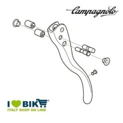 Ricambio Bici Leva Destra Veloce Silver 10 V. EC-VL048S Online Shop